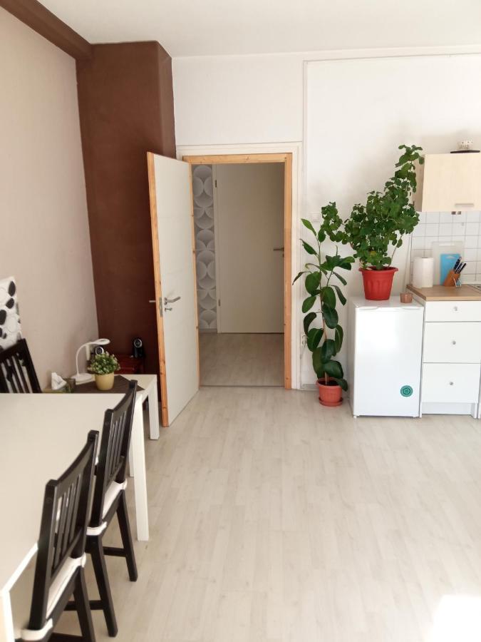 Free Parking, Balcony, Near To City Park Budapest Esterno foto