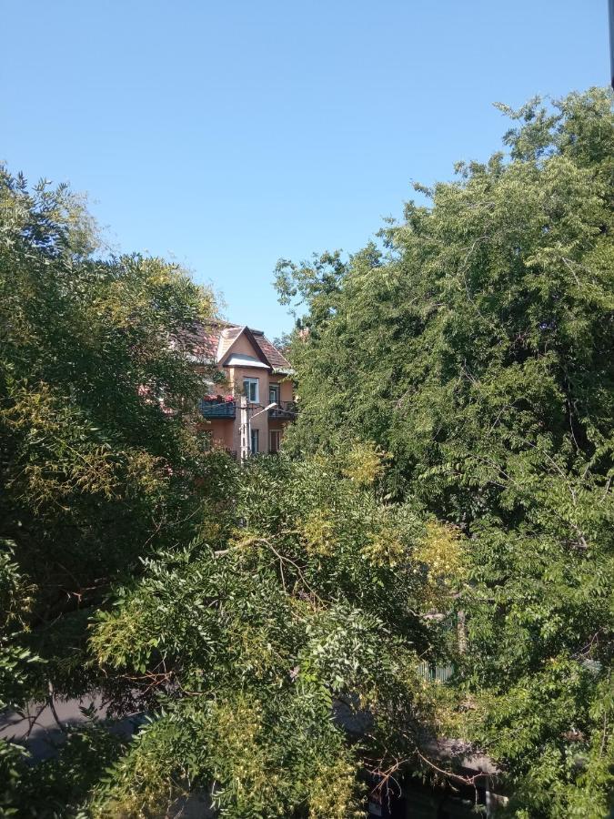 Free Parking, Balcony, Near To City Park Budapest Esterno foto