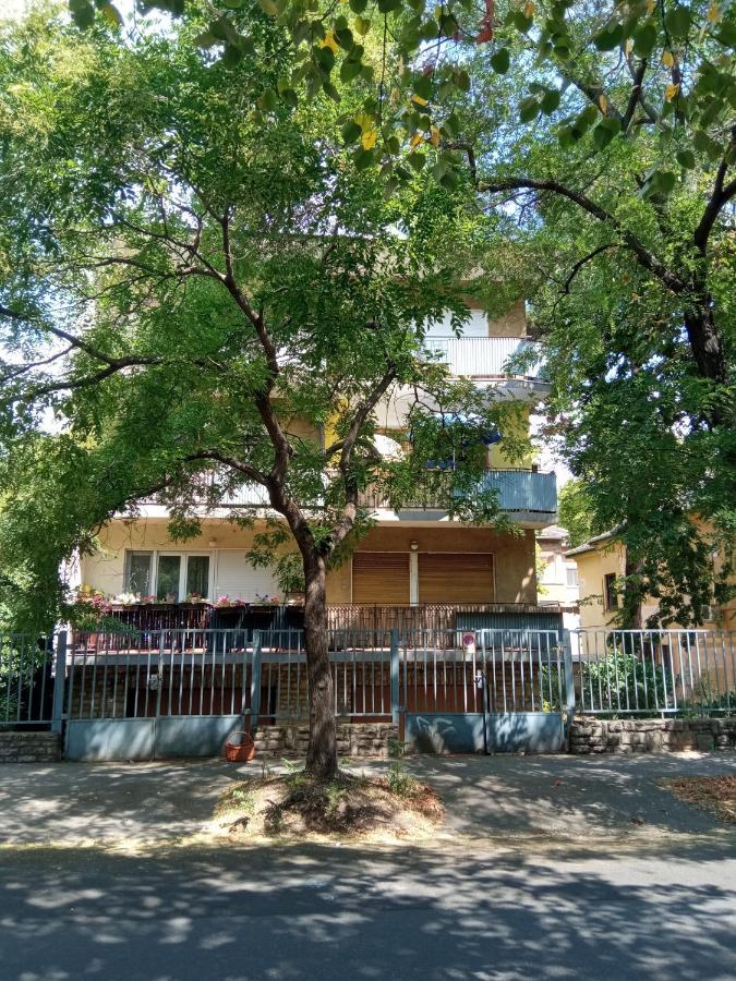 Free Parking, Balcony, Near To City Park Budapest Esterno foto