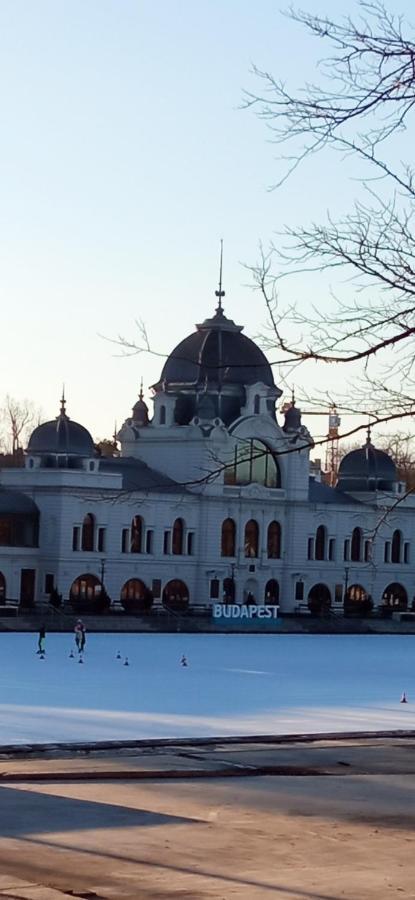 Free Parking, Balcony, Near To City Park Budapest Esterno foto